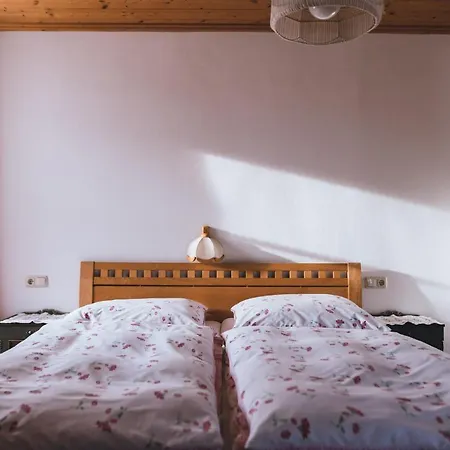 Apartment Haus Bürgler Maria Alm am Steinernen Meer